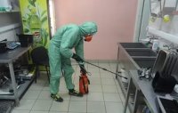 Услуги дезинсекции в Нижнем Новгороде